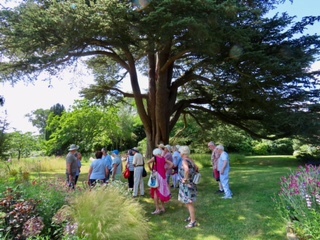 Members' visit to Fittleworth House